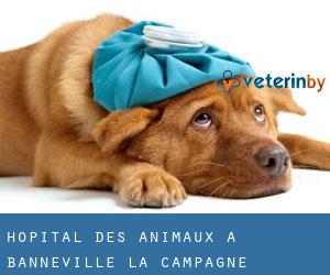 Hôpital des animaux à Banneville-la-Campagne
