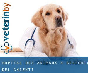 Hôpital des animaux à Belforte del Chienti