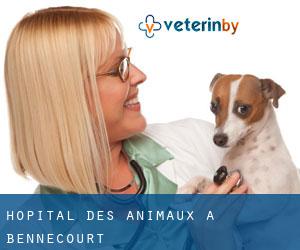 Hôpital des animaux à Bennecourt