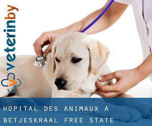 Hôpital des animaux à Betjeskraal (Free State)