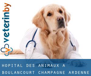 Hôpital des animaux à Boulancourt (Champagne-Ardenne)
