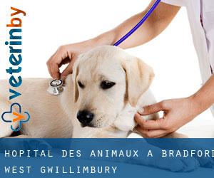 Hôpital des animaux à Bradford West Gwillimbury