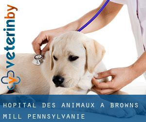 Hôpital des animaux à Browns Mill (Pennsylvanie)