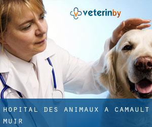 Hôpital des animaux à Camault Muir