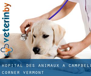Hôpital des animaux à Campbell Corner (Vermont)