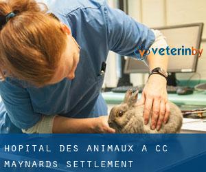 Hôpital des animaux à CC Maynards Settlement