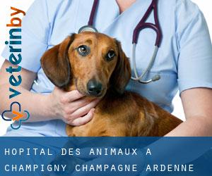 Hôpital des animaux à Champigny (Champagne-Ardenne)