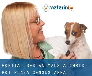 Hôpital des animaux à Christ-Roi-Plaza (census area)
