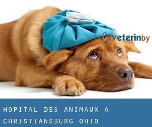 Hôpital des animaux à Christiansburg (Ohio)