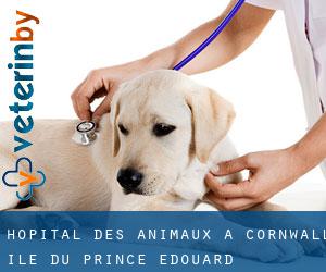 Hôpital des animaux à Cornwall (Île-du-Prince-Édouard)