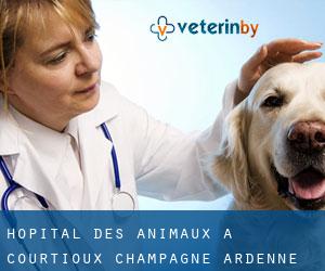 Hôpital des animaux à Courtioux (Champagne-Ardenne)