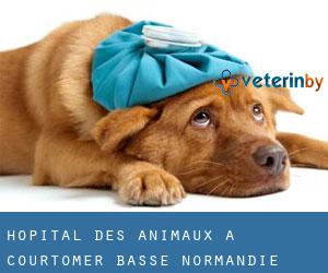 Hôpital des animaux à Courtomer (Basse-Normandie)