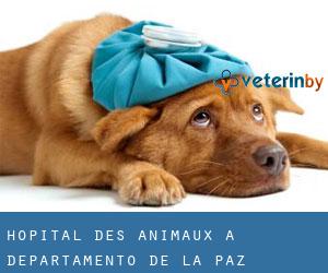 Hôpital des animaux à Departamento de La Paz