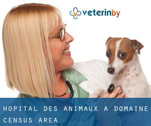 Hôpital des animaux à Domaine (census area)