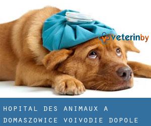 Hôpital des animaux à Domaszowice (Voïvodie d'Opole)
