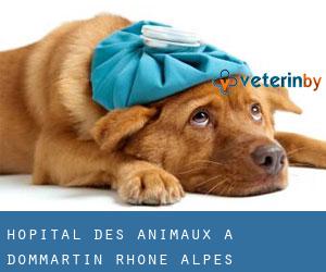 Hôpital des animaux à Dommartin (Rhône-Alpes)