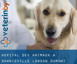 Hôpital des animaux à Downieville-Lawson-Dumont