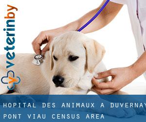 Hôpital des animaux à Duvernay-Pont-Viau (census area)