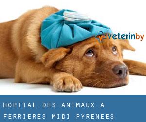 Hôpital des animaux à Ferrières (Midi-Pyrénées)