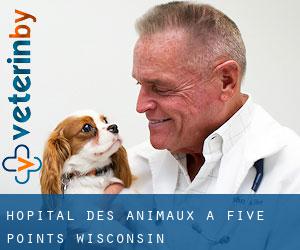 Hôpital des animaux à Five Points (Wisconsin)