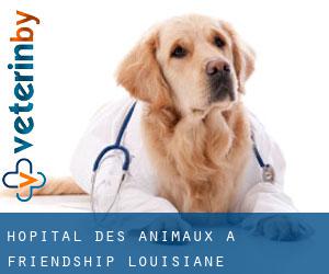 Hôpital des animaux à Friendship (Louisiane)