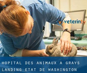 Hôpital des animaux à Grays Landing (État de Washington)