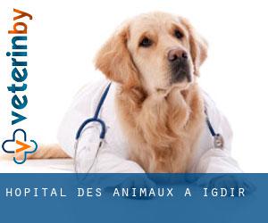 Hôpital des animaux à Iğdır