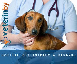 Hôpital des animaux à Karakul' Hôpital des animaux à Karakul'