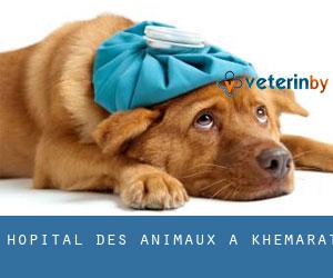 Hôpital des animaux à Khemarat