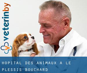 Hôpital des animaux à Le Plessis-Bouchard