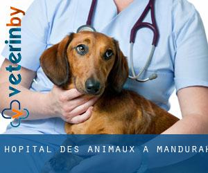Hôpital des animaux à Mandurah