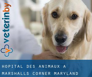 Hôpital des animaux à Marshalls Corner (Maryland)