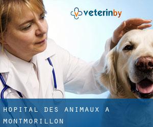 Hôpital des animaux à Montmorillon