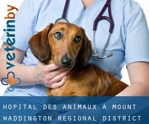 Hôpital des animaux à Mount Waddington Regional District