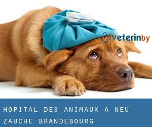 Hôpital des animaux à Neu Zauche (Brandebourg)