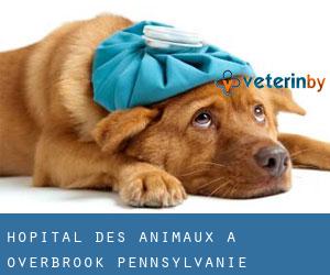 Hôpital des animaux à Overbrook (Pennsylvanie)