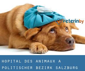 Hôpital des animaux à Politischer Bezirk Salzburg Umgebung