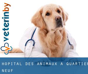 Hôpital des animaux à Quartier-Neuf
