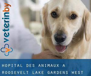 Hôpital des animaux à Roosevelt Lake Gardens West