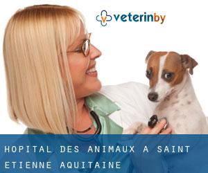 Hôpital des animaux à Saint-Etienne (Aquitaine)