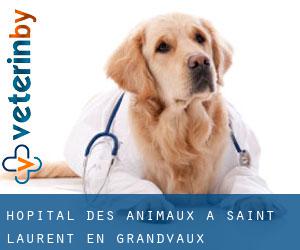 Hôpital des animaux à Saint-Laurent-en-Grandvaux