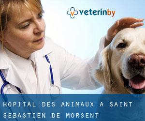 Hôpital des animaux à Saint-Sébastien-de-Morsent