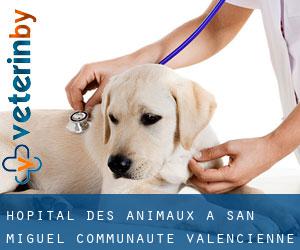 Hôpital des animaux à San Miguel (Communauté Valencienne)
