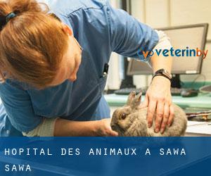 Hôpital des animaux à Sawa Sawa