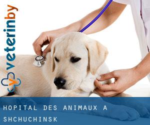 Hôpital des animaux à Shchūchīnsk