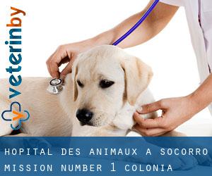 Hôpital des animaux à Socorro Mission Number 1 Colonia