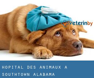 Hôpital des animaux à Southtown (Alabama)