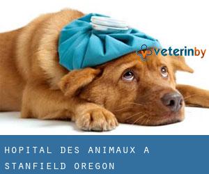 Hôpital des animaux à Stanfield (Oregon)