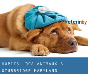 Hôpital des animaux à Sturbridge (Maryland)