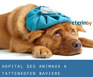 Hôpital des animaux à Tattenkofen (Bavière)